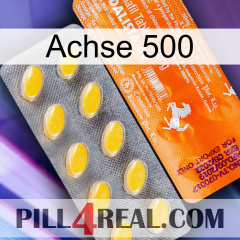 Axcil 500 new05